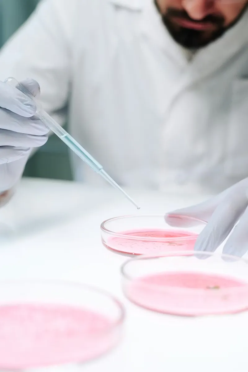 Petri dish preparation for pathogen testing